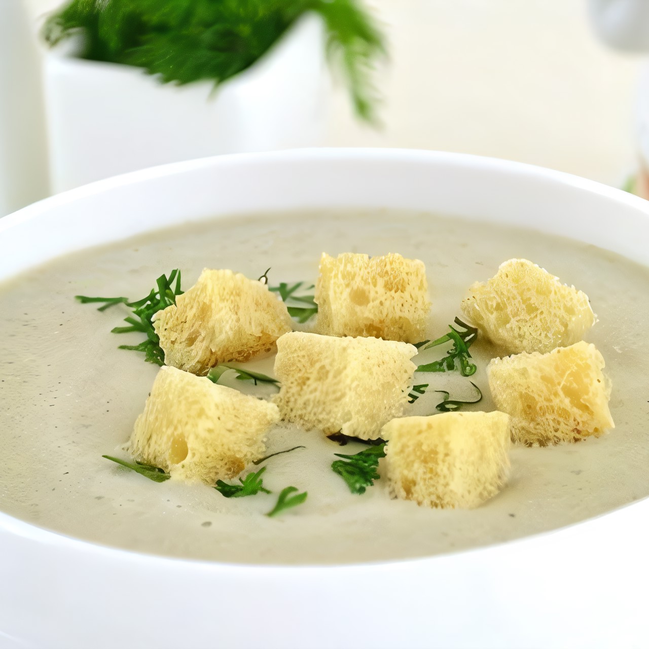 Суп-крем из опят на курином бульоне