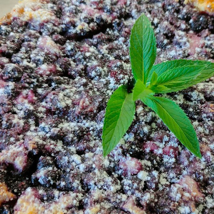 Творожная запеканка со смородиной