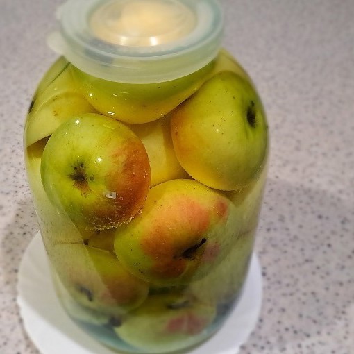 Яблоки моченые
