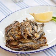 Битки из тюльки