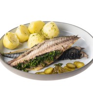 Быстрый рецепт скумбрии в духовке