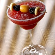 Ежевичный физ с джином