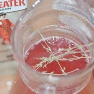 Горячий клюквенный напиток с джином