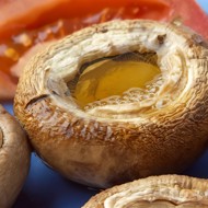 Грибы на кеци