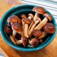 Грибы в банке