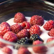 Яблочный йогурт с малиной и ежевикой