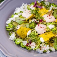 Карпаччо из брокколи с крем-лососем