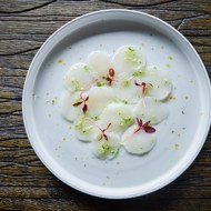 Карпаччо из мурманского гребешка