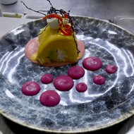 Кауса лименья