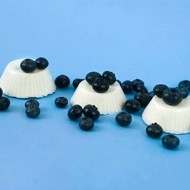 Кокосовая панна-котта (Веганская версия)