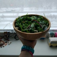 Легкий салат с медово-лимонной заправкой