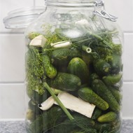 Малосольные огурцы с укропом