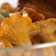 Маринованные лисички с изюмом