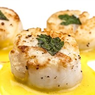 Морские гребешки с петрушкой