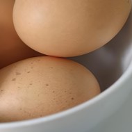 Омлет с орегано в мультиварке