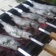 Озерная форель на углях