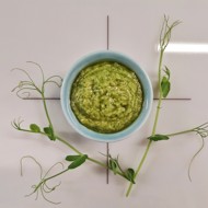 Песто из микса микрозелени