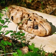 Пшенично-ржаной хлеб с изюмом и тмином