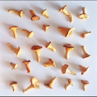 Рагу из лисичек и баклажанов