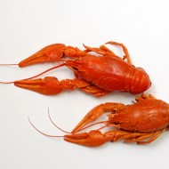 Раки по рецепту Вадима Калинича