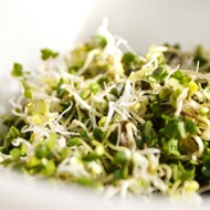 Салат из чечевичных проростков