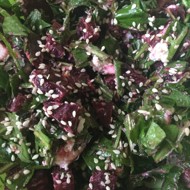 Салат из свеклы и листьев одуванчика