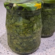 Щавель на зиму без стерилизации