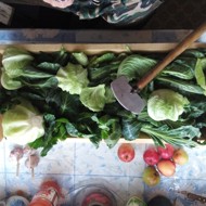 Серая квашеная капуста