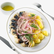 Слабосоленая скумбрия