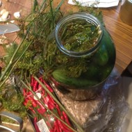 Соленые огурцы с эстрагоном и листьями