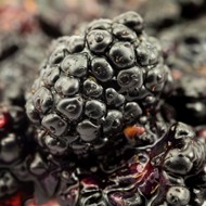 Соус из ежевики и неспелого винограда