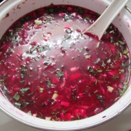 Свекольник летний