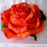 Торт из трюфельной массы