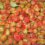 Варенье из луговой клубники