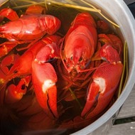 Вареные раки по-польски