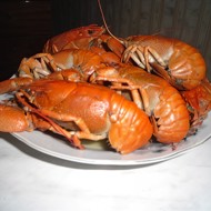 Вареные раки с укропом