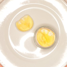 Болтунья в скорлупе