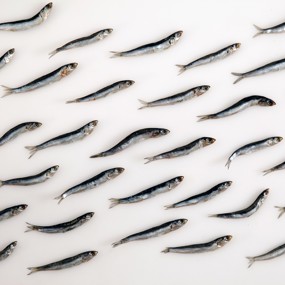 Маринованная хамса