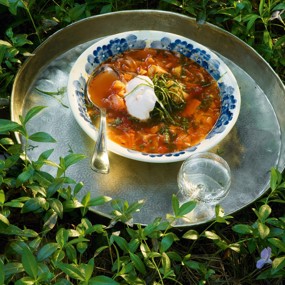 Щи из молодой капусты с побегами чеснока