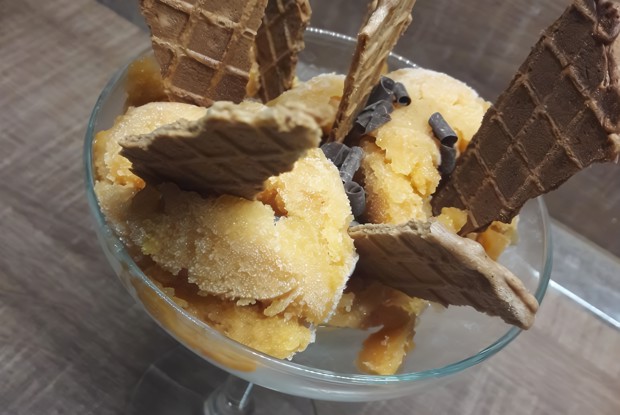 Аристократический сорбет (с нектаринами и вином сорта rose)