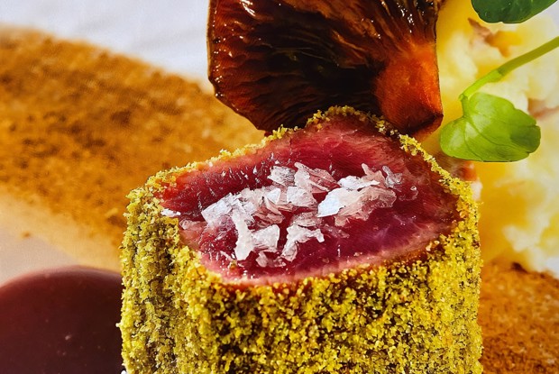 Баранина под грибным соусом с картофельным пюре и чичарронес