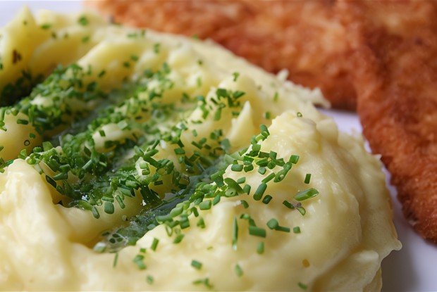 Белуга по-английски