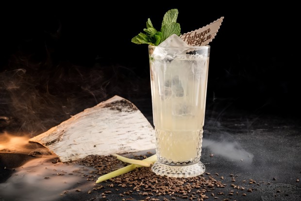 Березовый лимонад