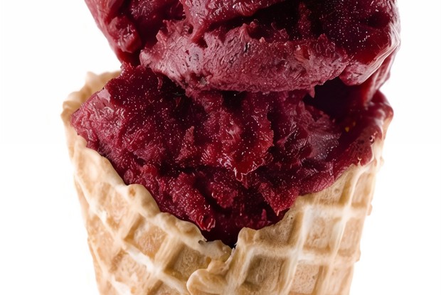 Быстрый черничный шербет