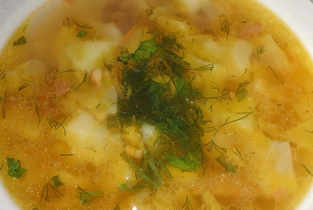 Быстрый суп из маринованных помидоров