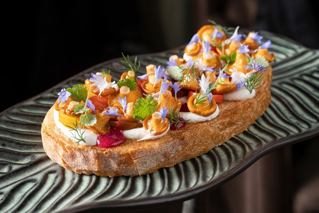 Брускетта с лисичками, томатами и страчателлой