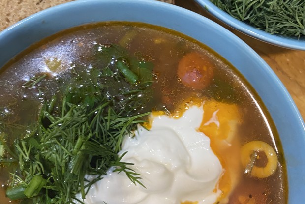 Быстрая солянка