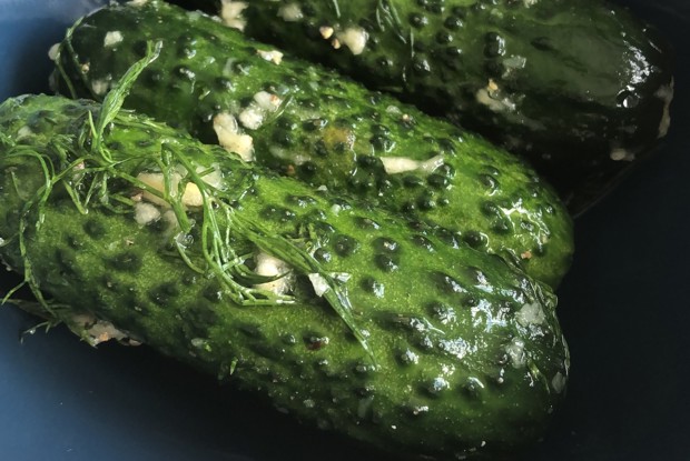 Быстрые малосольные огурцы с тмином