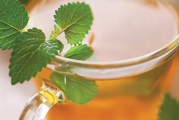 Чай на травах