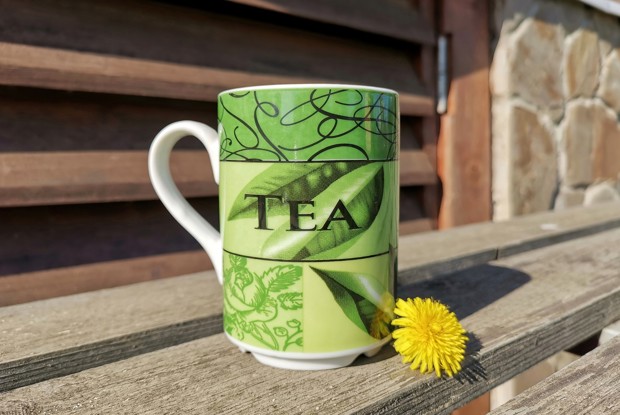 Чай из крапивы